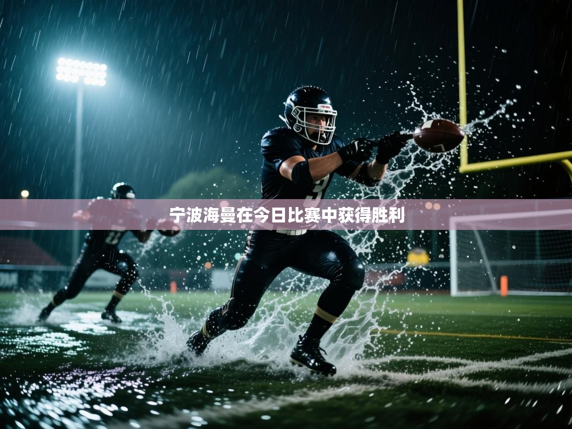 宁波海曼在今日比赛中获得胜利 第2张