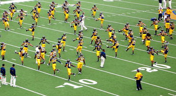 开云体育官网入口网页-斯图加特主场获胜，继续前行向胜利之路迈进，斯图加特公开赛